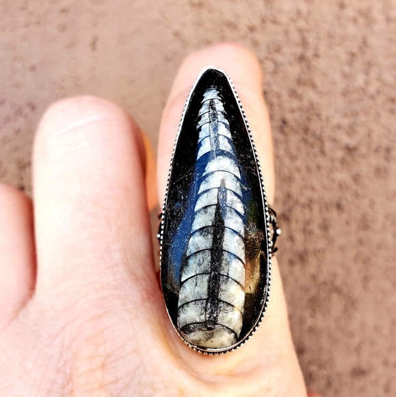 New Huge Orthoceras Fossil 925 Silver Ring. - Picture 2 of 16